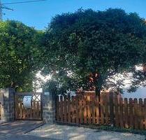 Freistehendes Einfamilienhaus in Gersheim Reinheim von Privat