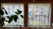 Foto - Etagenwohnung in Duisburg