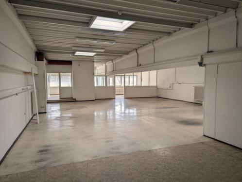 Foto - andere in Radolfzell am Bodensee