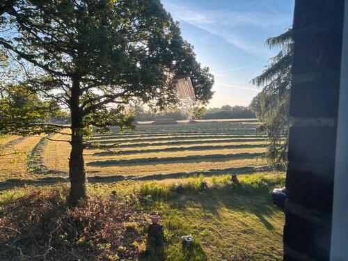 Foto - Wohnung zur Miete - 690,00&nbsp;EUR Kaltmiete, ca.&nbsp; 77,00&nbsp;m&sup2;