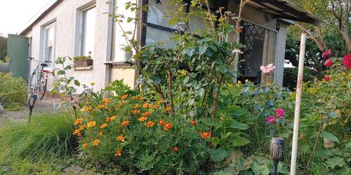 Foto - Garten in Senftenberg - 3.500,00&nbsp;EUR Kaltmiete, ca.&nbsp; 0,00&nbsp;m&sup2;