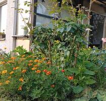 Garten in Senftenberg - 3.500,00&nbsp;EUR Kaltmiete, ca.&nbsp; 0,00&nbsp;m&sup2; in Weinböhla (PLZ: 01689)