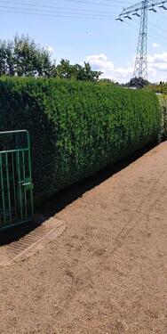 Foto - Grundst&uuml;ck zur Miete in Weinböhla