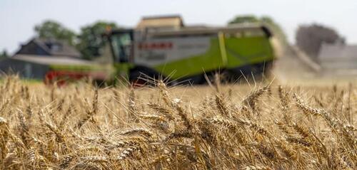 Foto - Ackerfläche Felder Acker 1,28ha