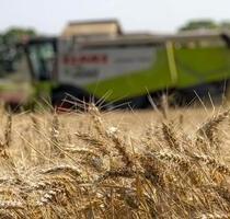 Ackerfläche Felder Acker 1,28ha - Wallersdorf