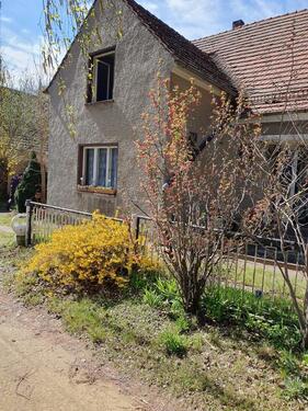 Foto - 7 Zimmer Einfamilienhaus zum Kaufen in Elsterwerda