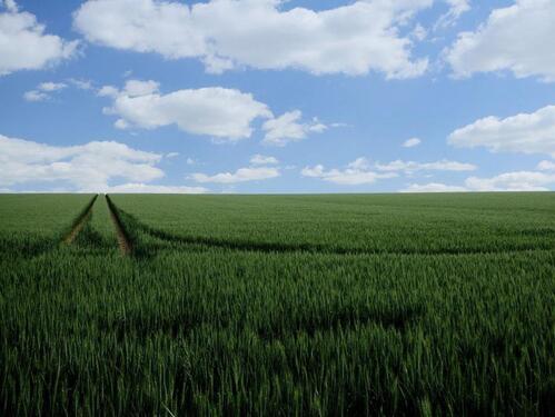 Foto - 1,57ha Ackerland Feld Landwirtschaftlichefläche