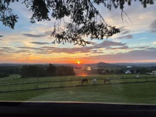 Foto - Schön Ferienhaus für 2 Personen in der Eifel
