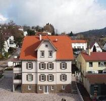 Erstbezug nach Kernsanierung: Modern geschnittene 2,5 Zimmerwohnung im EG - Lorch