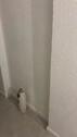 Foto - Etagenwohnung in Remscheid zum Kaufen