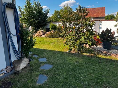 Foto - Einfamilienhaus in Mockrehna zum Kaufen