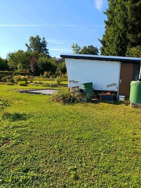 Foto - Grundstück in Zwickau zur Miete