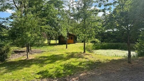 Foto - 2 Zimmer Erdgeschoßwohnung in Fürstenau