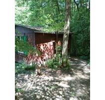 Wald Wander Hütte einsam abgelegen Thüringen Rhön Ferienhaus - Vacha