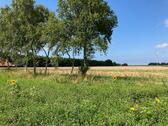 Foto - Grundst&uuml;ck in Dornum