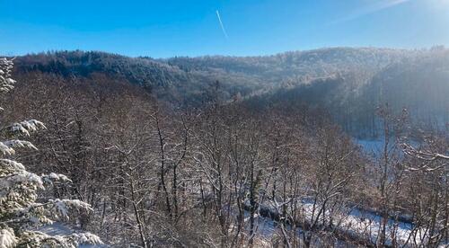 Foto - Parkähnliches Grundstück mit Traumblick in Idstein Eschenhahn
