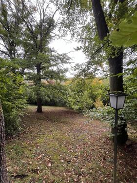 Foto - Einfamilienhaus zum Kaufen in Idstein