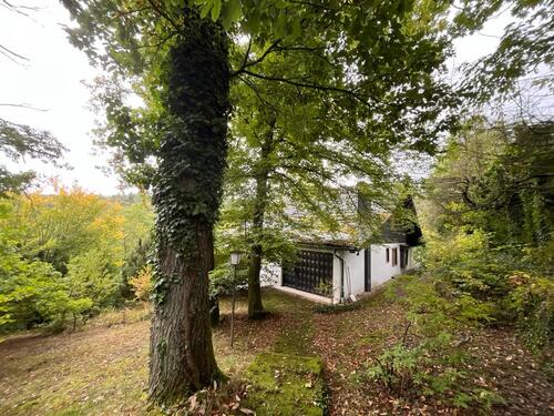 Foto - Einfamilienhaus in Idstein