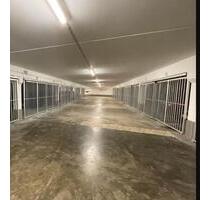 Stellplatz Tiefgarage Kafkastraße Neuperlach 75 € - München Ramersdorf-Perlach