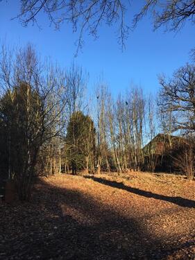 Foto - 3 Grundstücke für Tiny House, Modulhäuser im Dorf