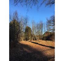 3 Grundstücke für Tiny House, Modulhäuser im Dorf - Wasbek