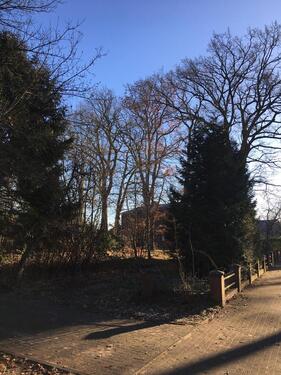 Foto - Grundst&uuml;ck zur Miete in Wasbek