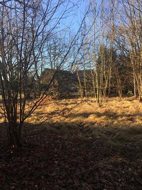 Foto - Grundst&uuml;ck in Wasbek