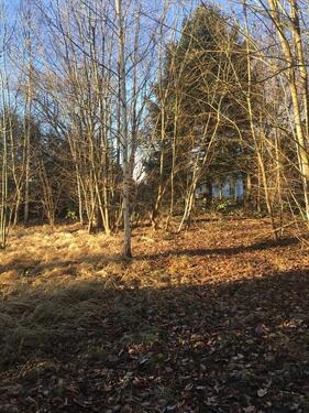 Foto - Grundst&uuml;ck in Wasbek zur Miete