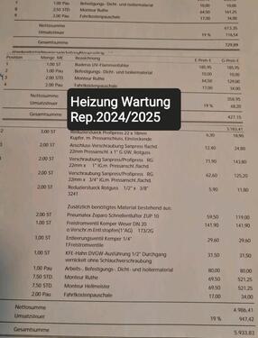 Foto - Einfamilienhaus in Mainz zum Kaufen