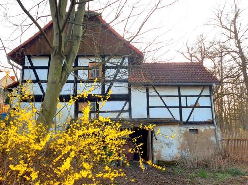 Foto - 6 Zimmer Einfamilienhaus in Langenbernsdorf