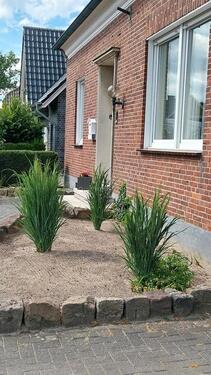 Foto - 4 Zimmer Einfamilienhaus zum Kaufen in Stadtlohn