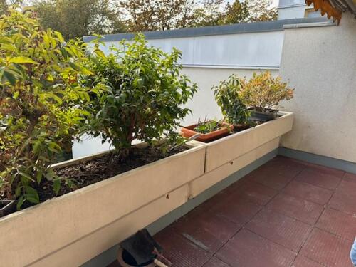 Foto - Etagenwohnung in Regensburg zur Miete