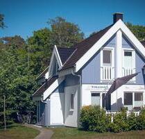 Ferienhaus auf Rügen Ostsee Sommer, mit Hund, nur 350m vom Strand - Dranske