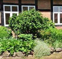 Helle Zweizimmer-Wohnung - 340,00&nbsp;EUR Kaltmiete, ca.&nbsp; 67,00&nbsp;m&sup2; in Aerzen (PLZ: 31855)