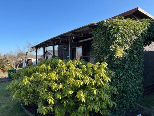 Foto - Schrebergarten - Kleingarten im Herzen von Leipzig -
