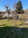 Foto - Grundst&uuml;ck in Leipzig zur Miete