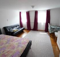 Möblierte 1-Zimmer Wohnung in Horb-Rexingen - Horb am Neckar