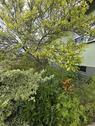 Foto - Einfamilienhaus in Bad Liebenwerda
