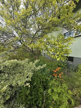 Foto - Einfamilienhaus in Bad Liebenwerda