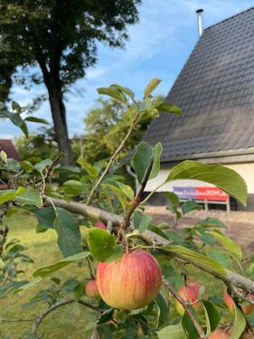 Foto - andere zur Miete in Milower Land