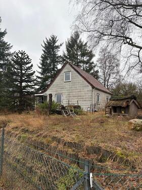 Foto - Einfamilienhaus zu vermieten Verdener Str