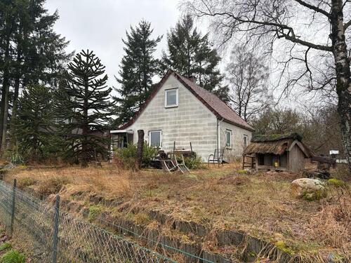 Foto - 4 Zimmer Einfamilienhaus zur Miete in Walsrode