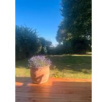 Charmantes Haus auf Aussiedlerhof in Igstadt – frei ab 01.01.2026 - Wiesbaden Mainz-Amöneburg