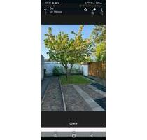 PROVISIONSFREI 3ZKB Erdgeschosswohnung mit Gartenanteil Nähe Audi - Ingolstadt Nordost