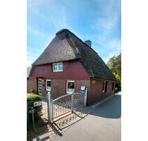 Reetdach Haus auf dem Land ohne Makler 3500 qm - Horst (Holstein)