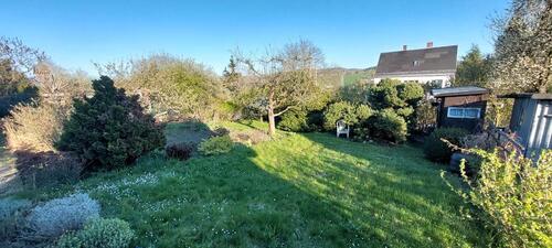 Foto - Kleiner Pachtgarten in der GA Straßberger Vorstadt e.V.