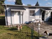 Foto - Einfamilienhaus zum Kaufen in Gifhorn