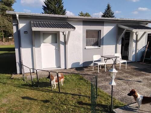 Foto - Einfamilienhaus zum Kaufen in Gifhorn