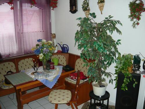 Foto - Etagenwohnung in Leipzig zur Miete