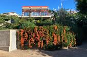 Foto - Ferienhaus in Madeira zu mieten